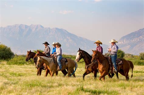 Your responsibilities will encompass analyzing production input and output information, developing detailed project scopes, spearheading project kick-offs,. . Ranch jobs near me